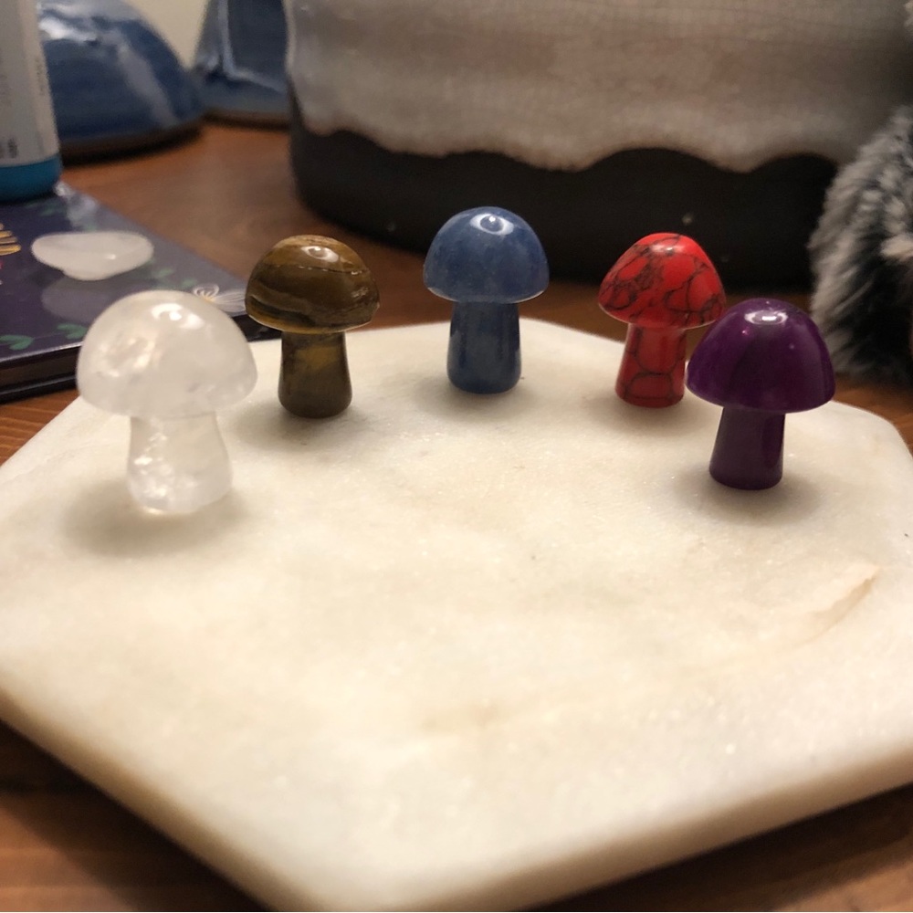 Shaped mushroom gemstone bundle